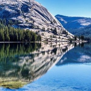 Meet your Posher, Bryant